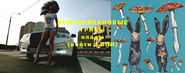 ПСИЛОЦИБИНОВЫЕ ГРИБЫ Алзамай