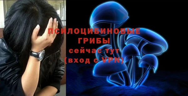 ПСИЛОЦИБИНОВЫЕ ГРИБЫ Алзамай